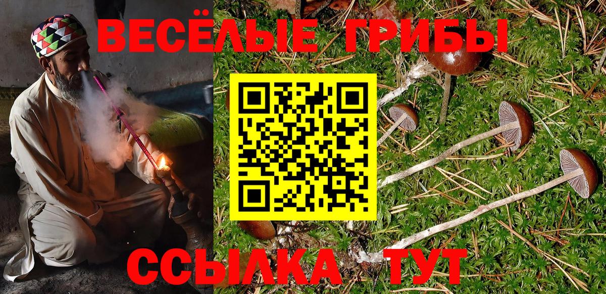 Галлюциногенные грибы Psilocybe Ишимбай